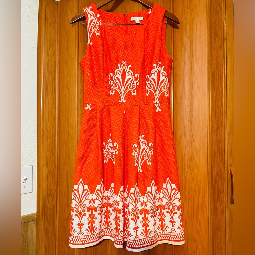 New York & Company Vibrant Orange and White Mini Dress